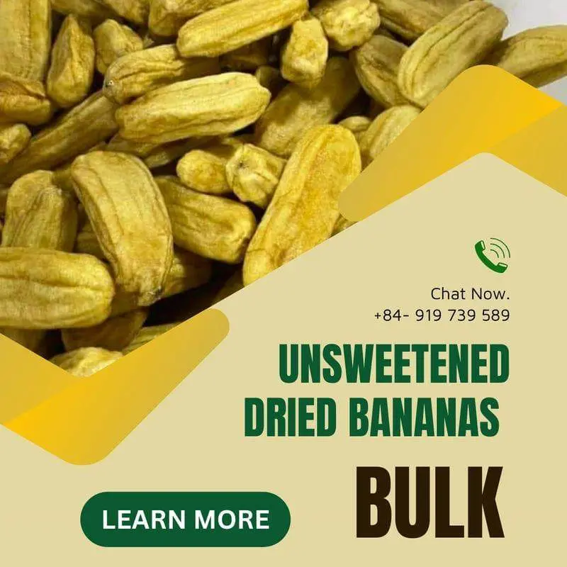 FruitBuys Vietnam  Unsweetened Dried Bananas In Bulk 231015