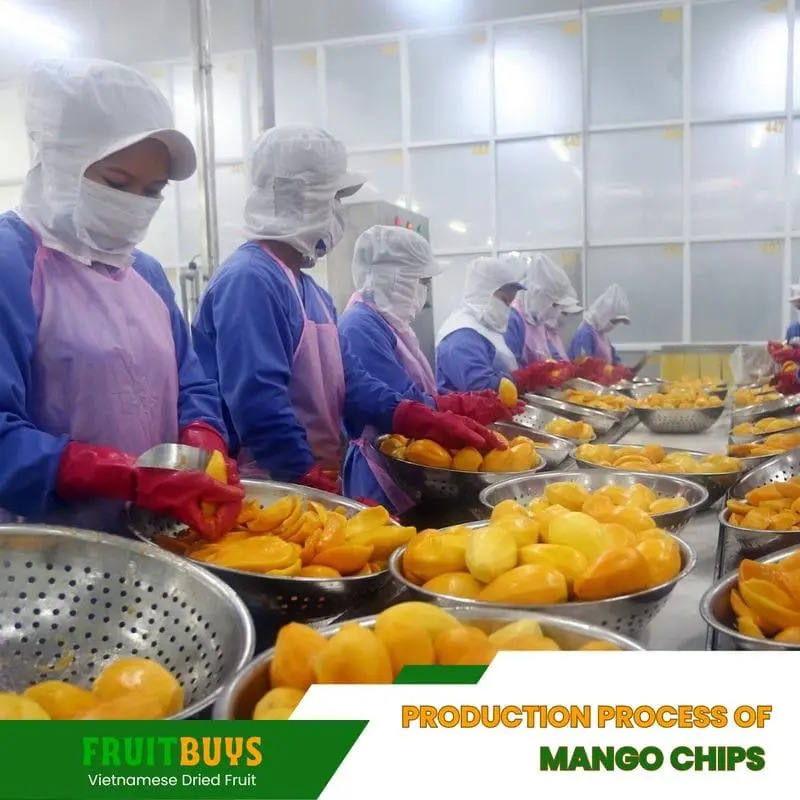 FruitBuys Vietnam Production Process Of Mango Chips 23927