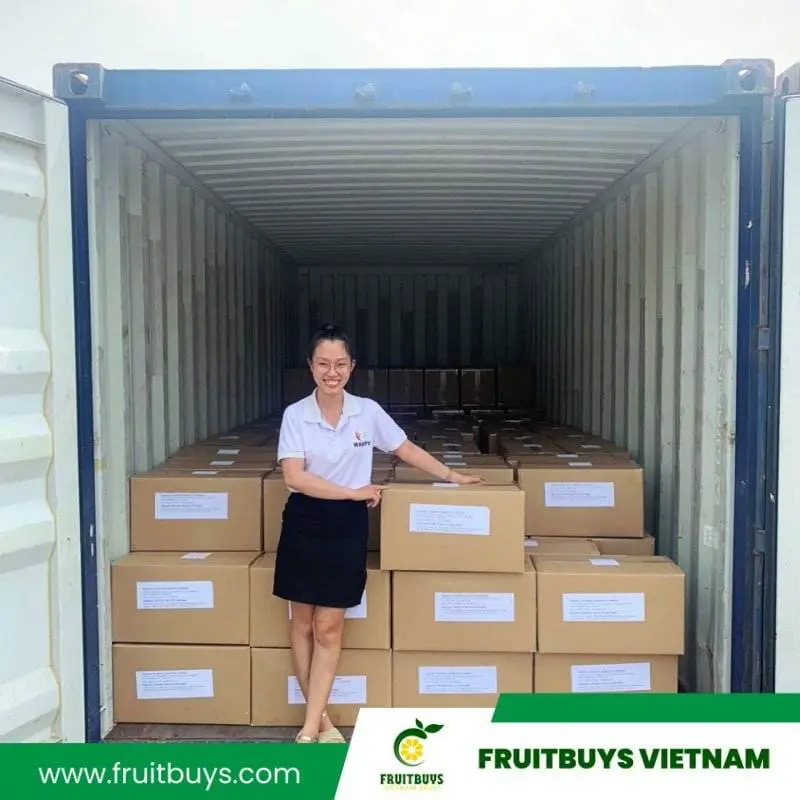 FruitBuys Vietnam  Delivery Of Dried Fruit  2304 (14)