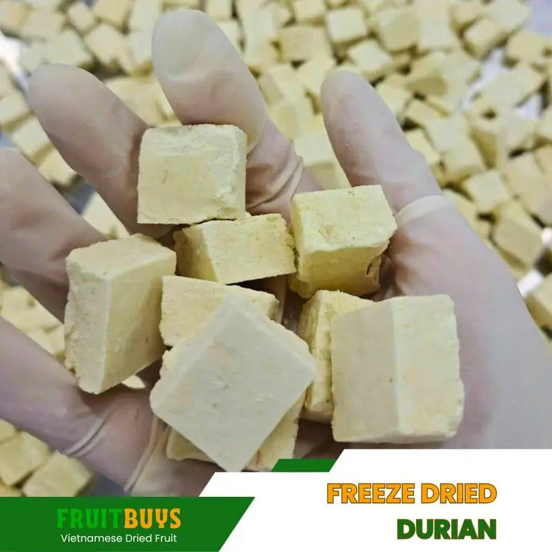 FruitBuys Vietnam Freeze Dried Durian (2) 23929