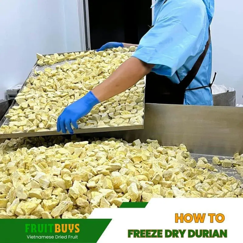 FruitBuys Vietnam  How To Freeze Dry Durian 23930