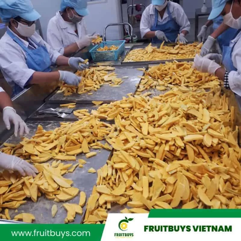 fruitbuys vietnam freeze dried mango 1 1 FruitBuys Vietnam Freeze Dried Mango (1)