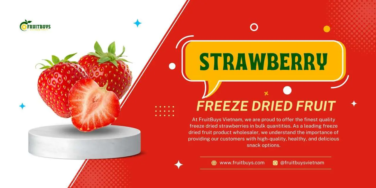 FruitBuys Vietnam Freeze Dried Strawberries