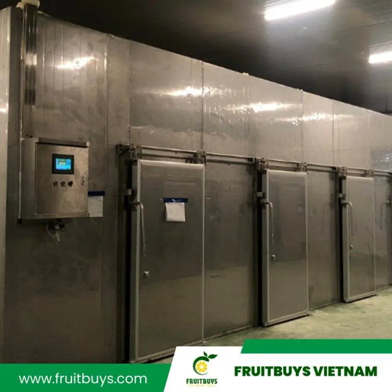 FruitBuys Vietnam  2304  Air Drying (4)