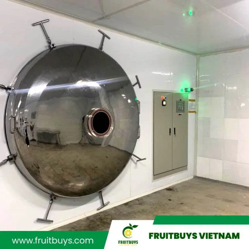 FruitBuys Vietnam  230425  Freeze Drying (1)