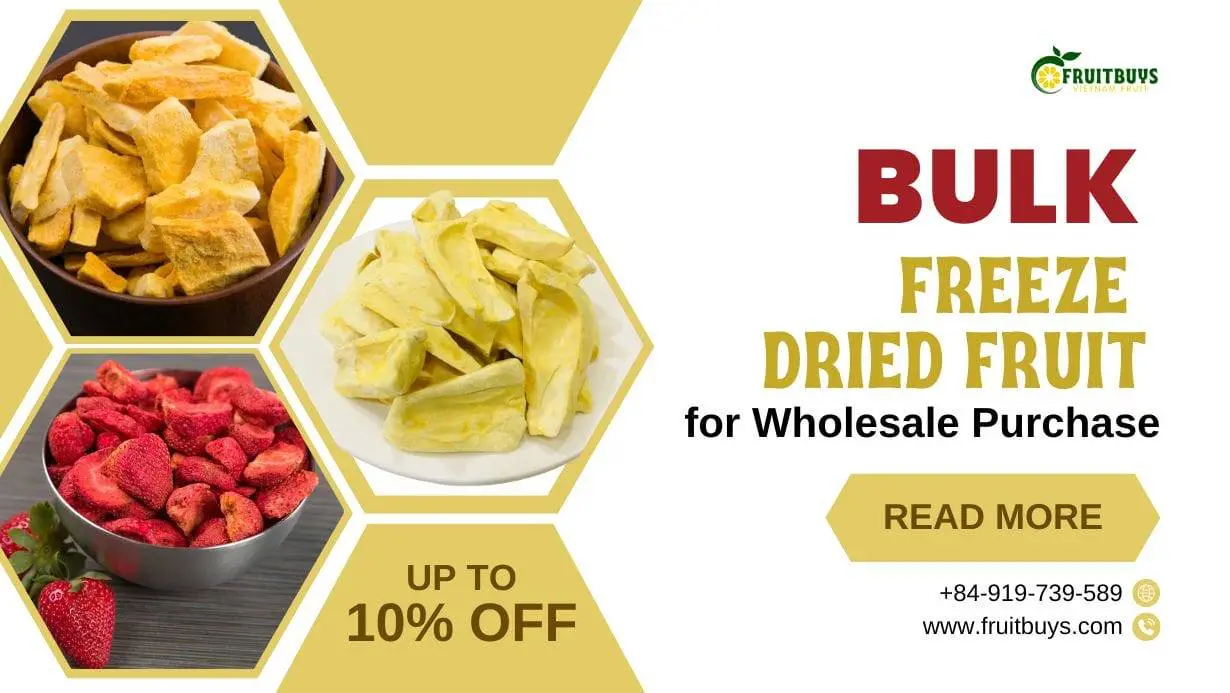 Fruitbuys Vietnam Bulk Freeze Dried Fruit For Wholesale Purchase