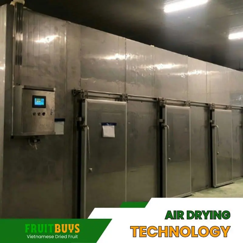 FruitBuys Vietnam Air Drying Technology 23919