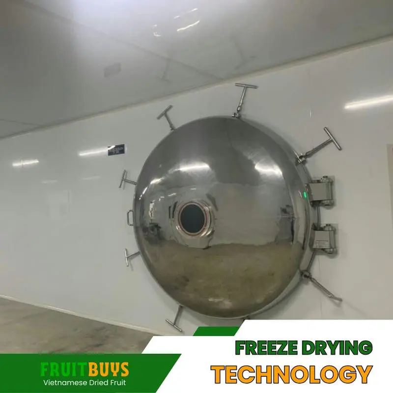 FruitBuys Vietnam Freeze drying technology 23919 FruitBuys Vietnam Freeze Drying Technology 23919