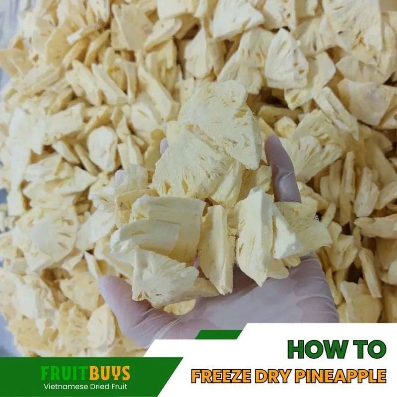 How To Freeze Dry Pineapple - Exploring The Art Of Freeze Drying Pineapple FruitBuys Vietnam How To Freeze Dry Pineapple 23919