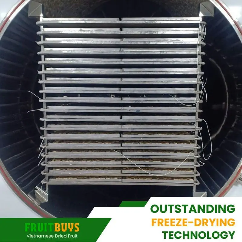 FruitBuys Vietnam Outstanding freeze drying technology 23922 FruitBuys Vietnam Outstanding Freeze Drying Technology 23922