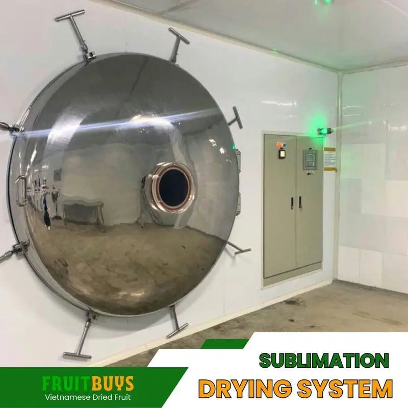 FruitBuys Vietnam Sublimation Drying System 23919