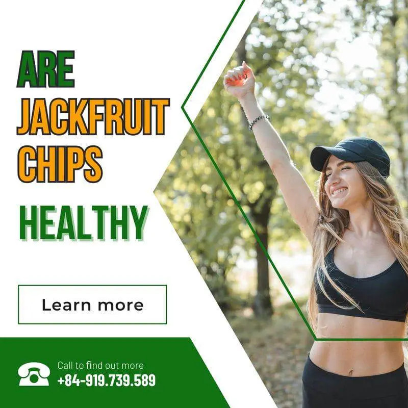 FruitBuys Vietnam Are Jackfruit Chips Healthy 231011