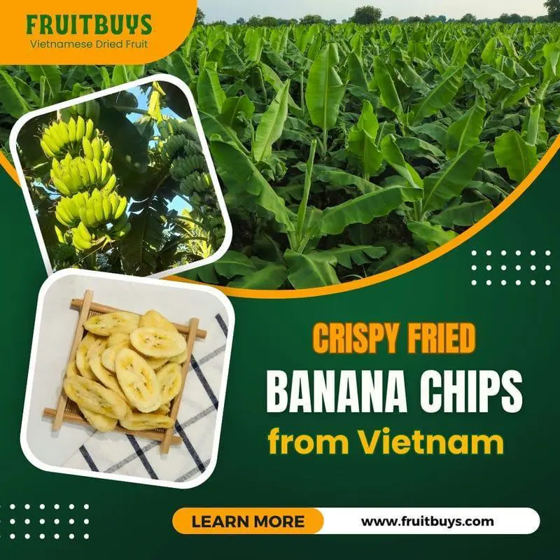 Why Should You Choose Crispy Fried Banana Chips From Vietnam? FruitBuys Vietnam Crispy Fried Banana Chips In Vietnam 231021