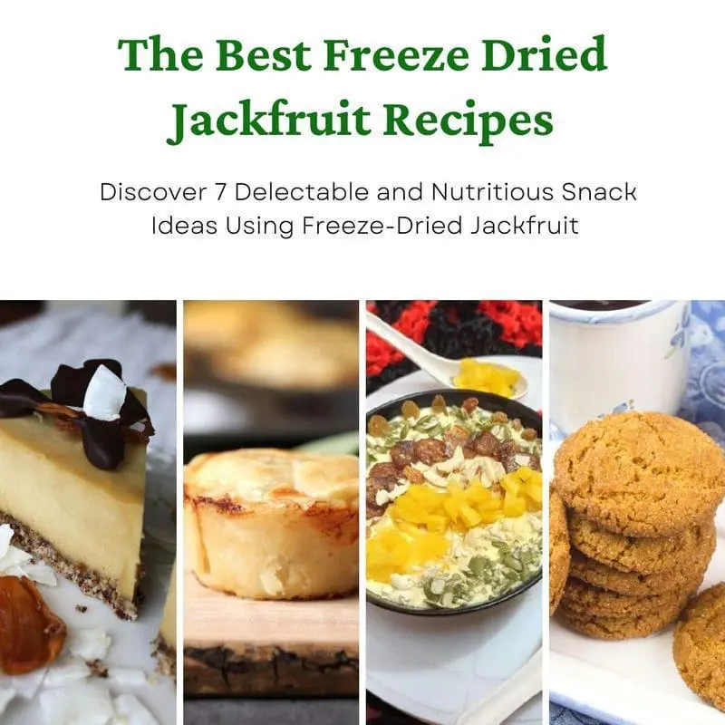 FruitBuys Vietnam  Discover 7 Delectable And Nutritious Snack Ideas Using Freeze Dried Jackfruit 23110