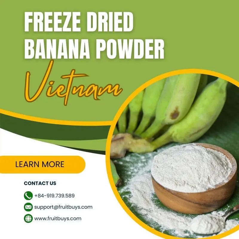 Why Should You Choose Freeze-Dried Bananas Powder In Vietnam? FruitBuys Vietnam Freeze Dried Banana Powder In Vietnam 231021