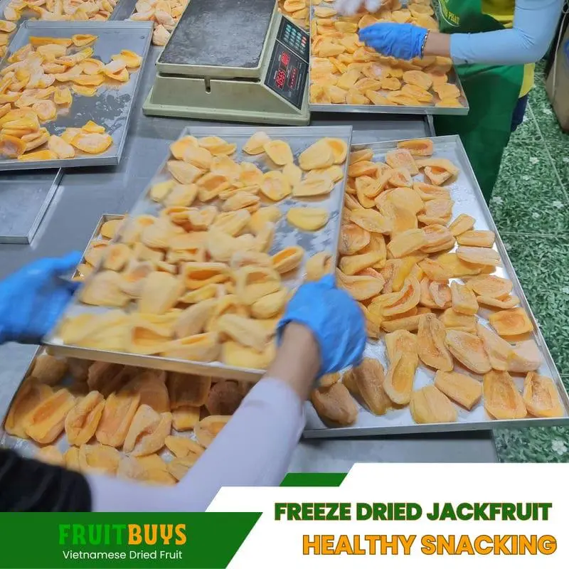 FruitBuys Vietnam Freeze Dried Jackfruit Healthy Snacking 23107454