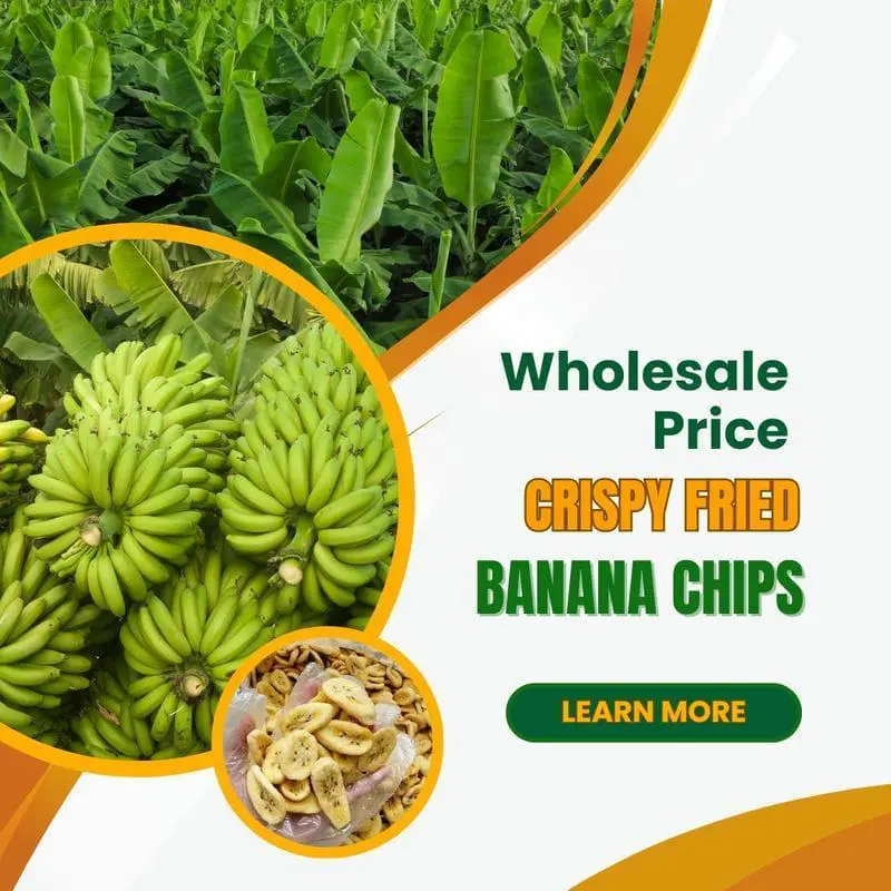 How To Get The Best Wholesale Price For Fried Banana Chips? FruitBuys Vietnam How Much Is The Wholesale Price Of Fried Banana Chips 231021