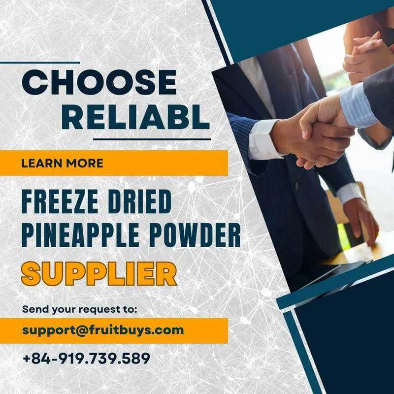 FruitBuys Vietnam How to Choose Reliable Freeze Dried Pineapple Powder Supplier 231024 FruitBuys Vietnam How To Choose Reliable Freeze Dried Pineapple Powder Supplier 231024