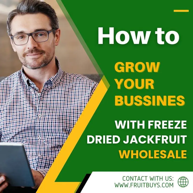 FruitBuys Vietnam How to Grow Your Business with Freeze Dried Jackfruit Wholesale 23108 FruitBuys Vietnam How To Grow Your Business With Freeze Dried Jackfruit Wholesale 23108