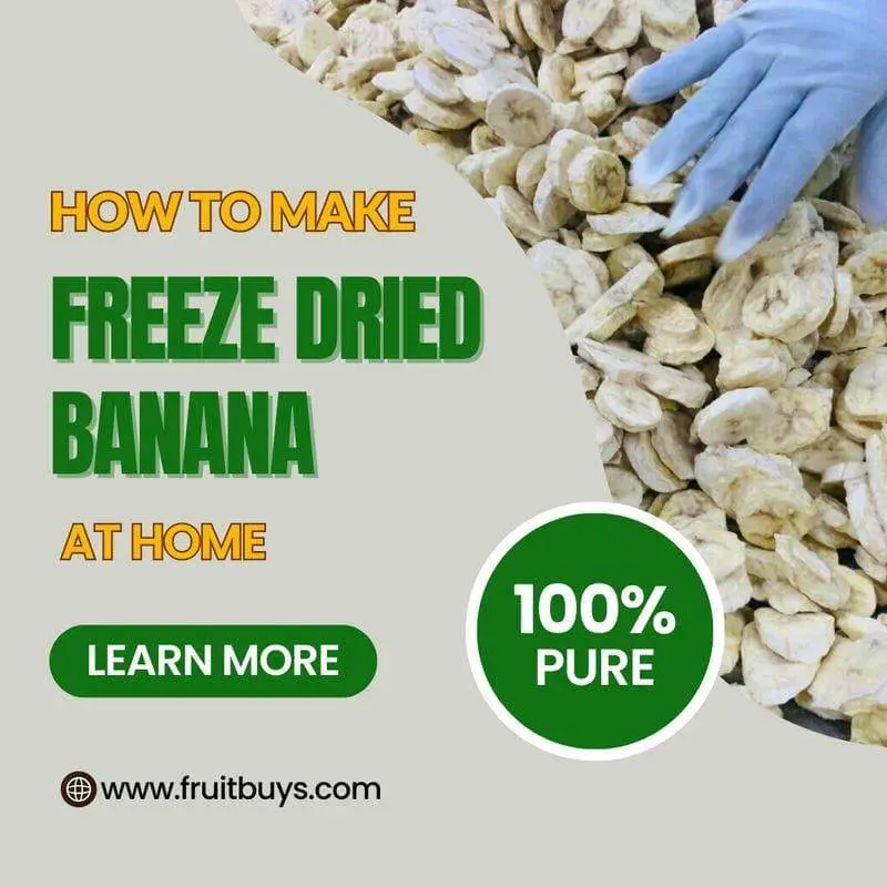 FruitBuys Vietnam How To Make Freeze Dried Banana At Home 231013