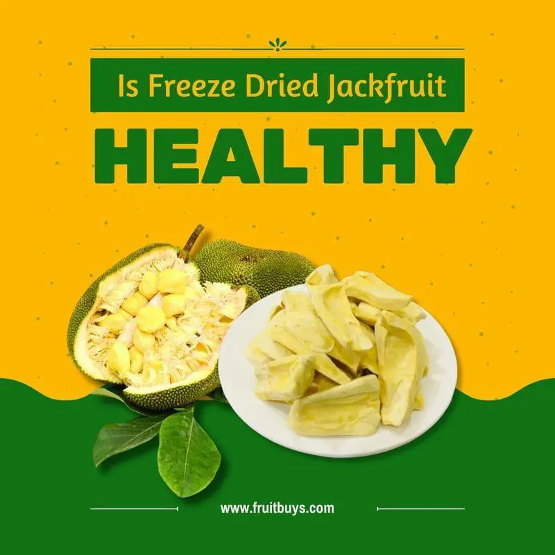 FruitBuys Vietnam Is Freeze Dried Jackfruit Healthy 23108 FruitBuys Vietnam Is Freeze Dried Jackfruit Healthy 23108
