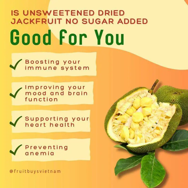 FruitBuys Vietnam Is Unsweetened Dried Jackfruit No Sugar Added Good For You 23109
