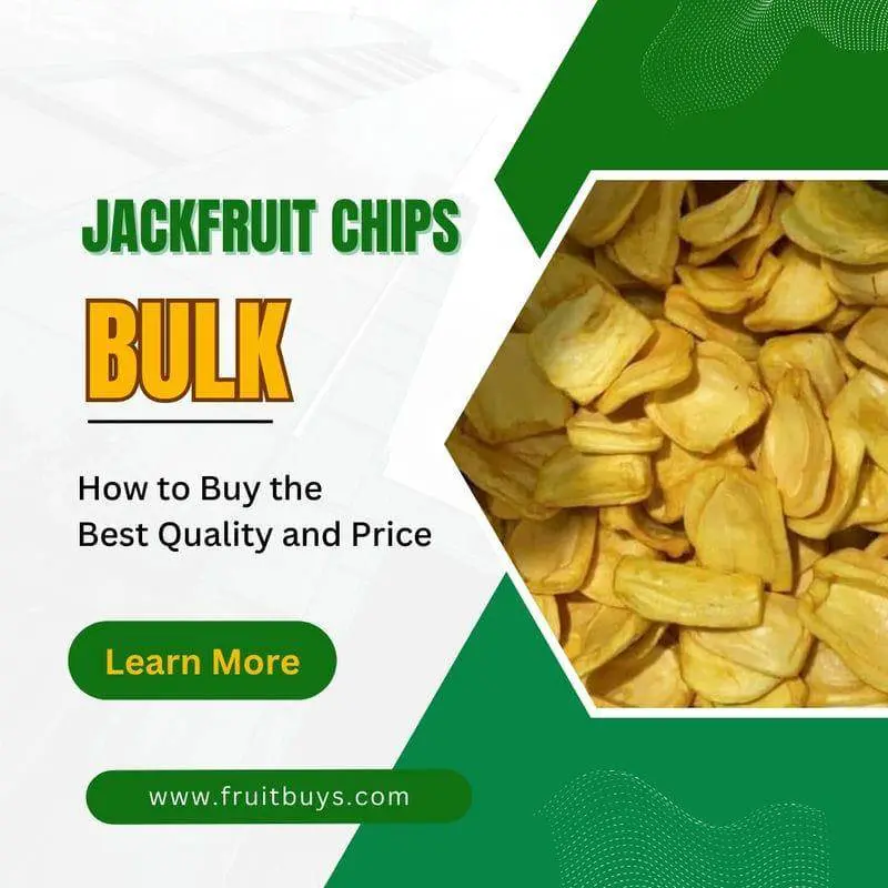 Jackfruit Chips In Bulk A Tropical Delight For Your Business FruitBuys Vietnam Jackfruit Chips In Bulk 231011