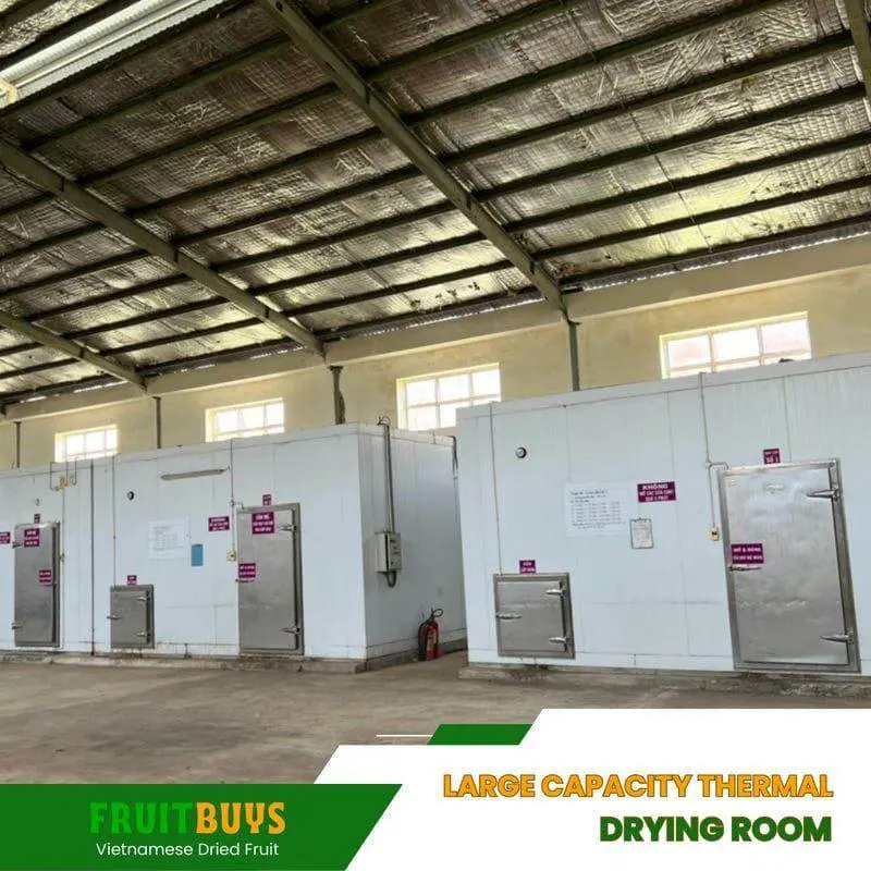 FruitBuys Vietnam Large Capacity Thermal Drying Room 231010
