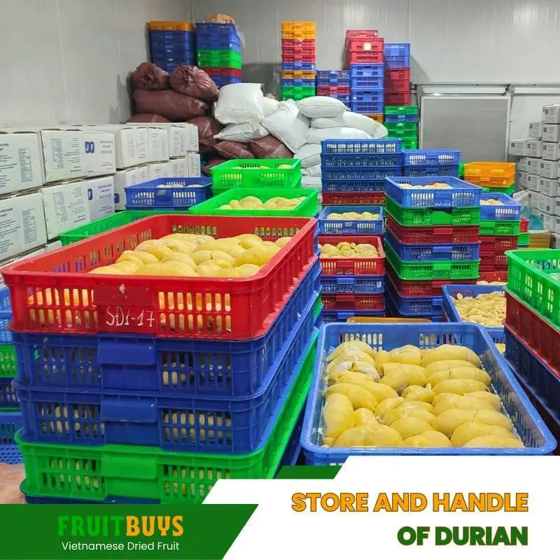 FruitBuys Vietnam Store and handle durian 23102 FruitBuys Vietnam Store And Handle Durian 23102