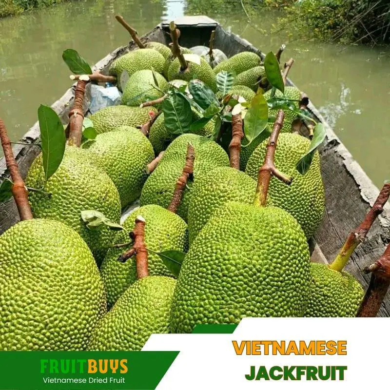 FruitBuys Vietnam Vietnamese Jackfruit 2 23105 FruitBuys Vietnam Vietnamese Jackfruit (2) 23105