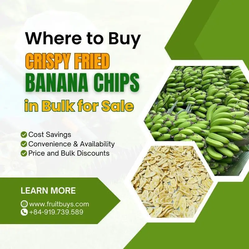 How To Buy Crispy Fried Banana Chips In Bulk For Sale FruitBuys Vietnam Where To Buy Crispy Fried Banana Chips In Bulk For Sale 231021