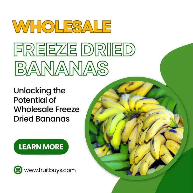 FruitBuys Vietnam  Wholesale Freeze Dried Bananas 231013