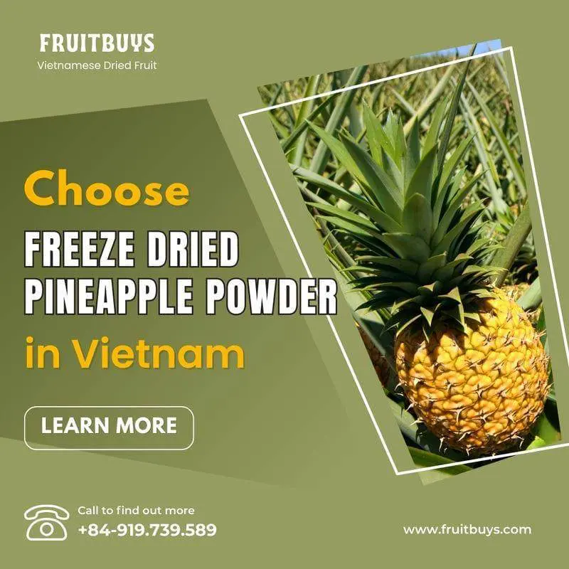 FruitBuys Vietnam Why Should You Choose Freeze Dried Pineapple Powder in Vietnam 231024 FruitBuys Vietnam Why Should You Choose Freeze Dried Pineapple Powder In Vietnam 231024