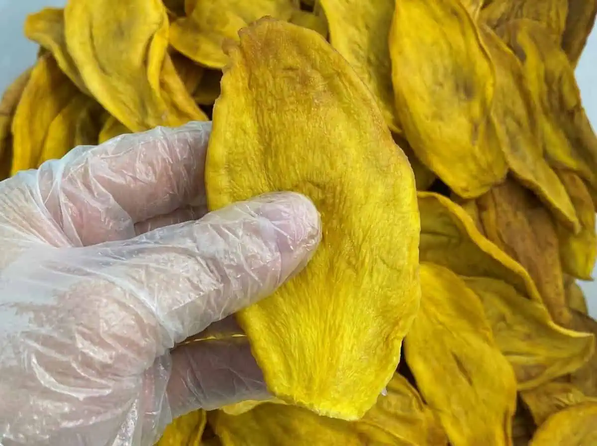 Close Up Texture Of Unsweetened Dried Mango Slice Showing Natural Fibers And No Sugar Coating
