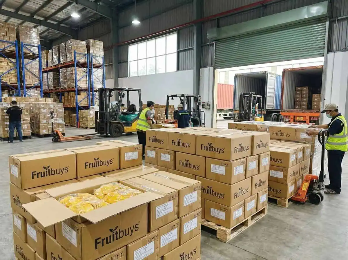 Export Ready Packaging Of Dried Mango In A Professional Certified Warehouse Facility