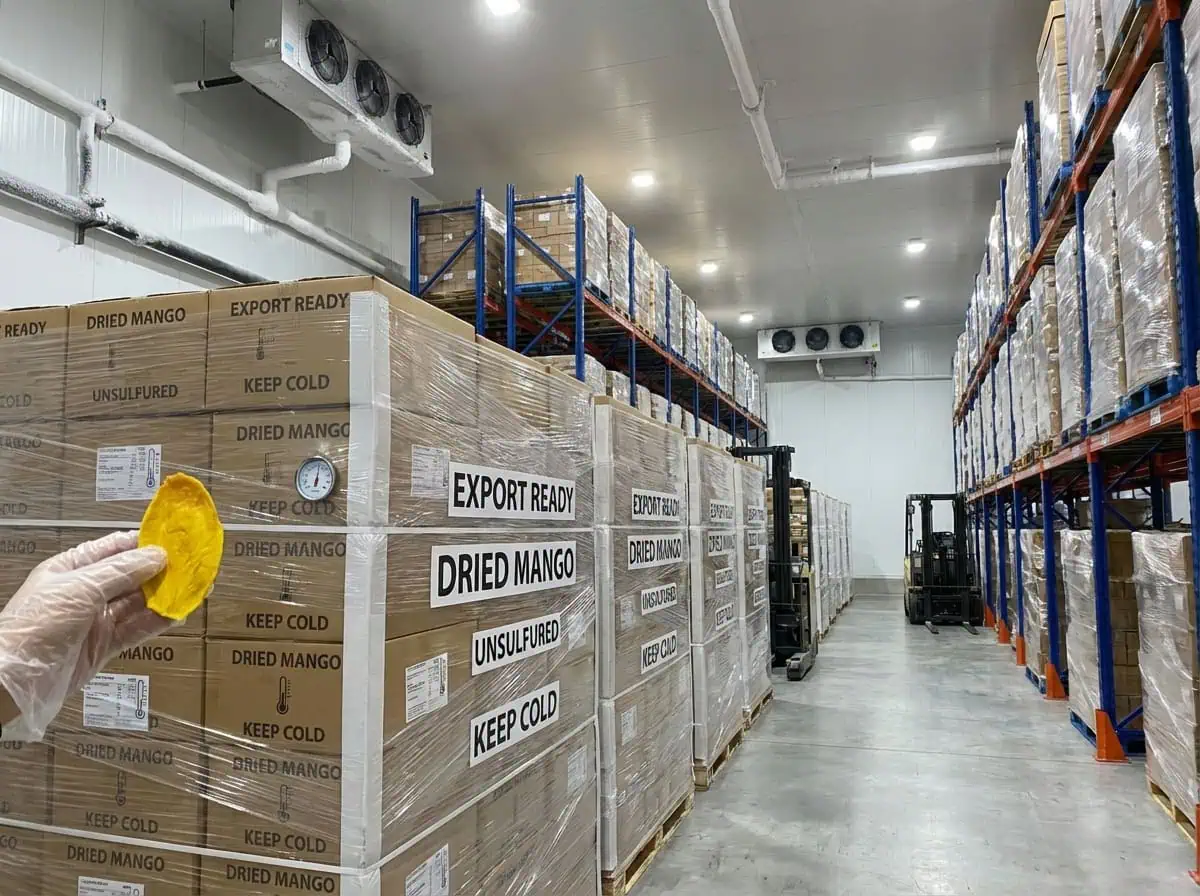 Export Ready Pallets Of Unsulfured Dried Mango Stored In A Temperature Controlled Cold Warehouse