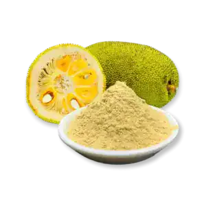 Jackfruit Powder - Freeze Dried Jackfruit Extract FruitBuys Vietnam 231221 Freeze Dried Jackfruit Powder
