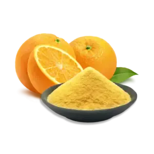 Fresh Orange Powder for Vegan Snacks FruitBuys Vietnam 231221 Freeze Dried Orange Powder