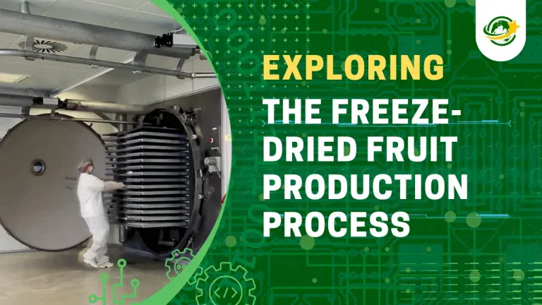 Production Process Of Freeze Dried Fruit Using Freeze Drying Technology At FruitBuys Vietnam FruitBuys Vietnam Production Process Of Freeze Dried Fruit Using Freeze Drying Technology At FruitBuys Vietnam