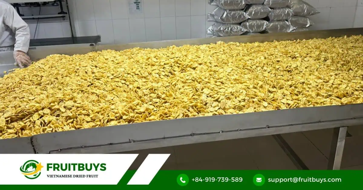 Benefits Of Vacuum Frying For Food Preservation And Quality