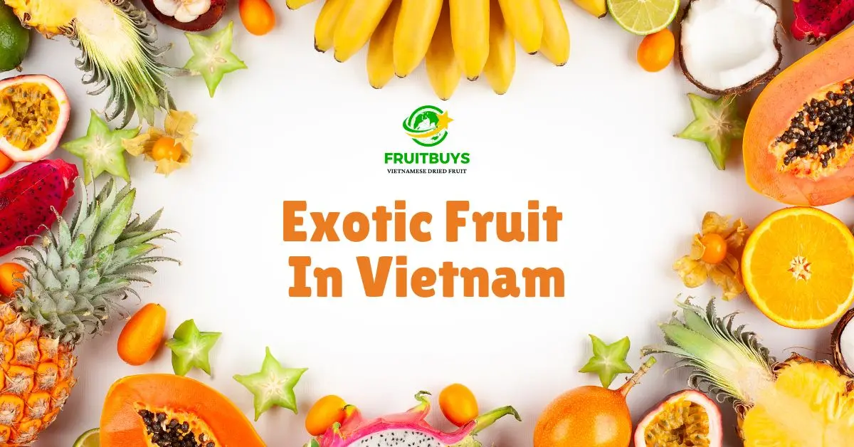 Discovering The Exotic Wonders Of Vietnam's Fruit Basket FruitBuys Vietnam Discovering The Exotic Wonders Of Vietnam's Fruit Basket