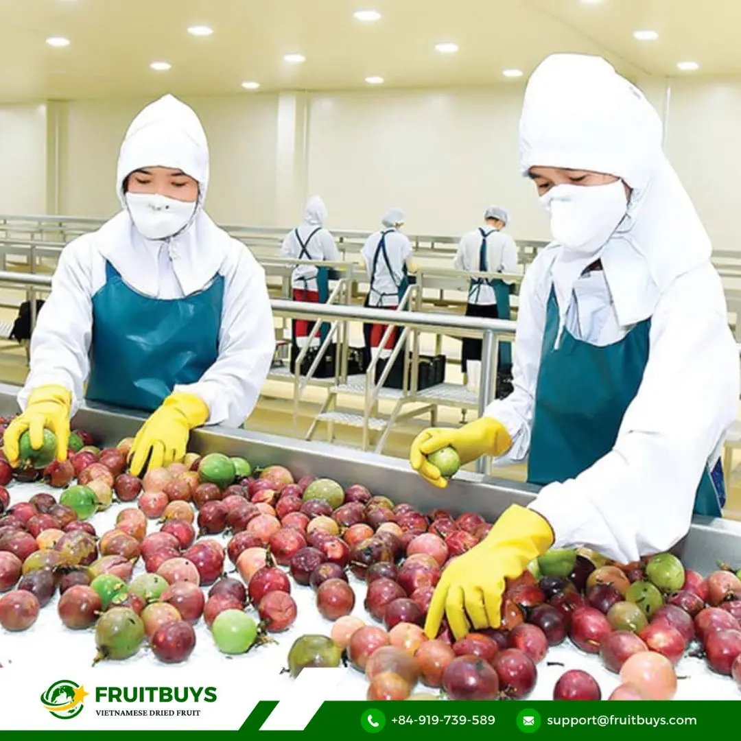 FruitBuys Vietnam Dried Passion Fruit