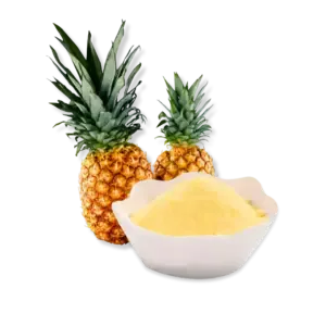 Dried Pineapple Powder (Spray Drying) FruitBuys Vietnam Dried Pineapple Powder (Spray Drying) 240424
