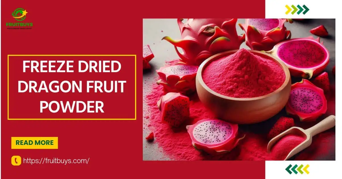 FruitBuys Vietnam Freeze Dried Dragon Fruit Powder (1)