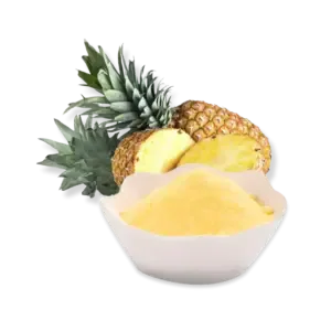 Freeze Dried Pineapple Powder - FruitBuys Vietnam FruitBuys Vietnam Freeze Dried Pineapple Powder 240424