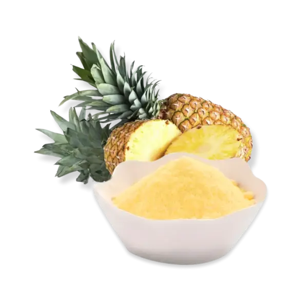 FruitBuys Vietnam Freeze Dried Pineapple Powder 240424