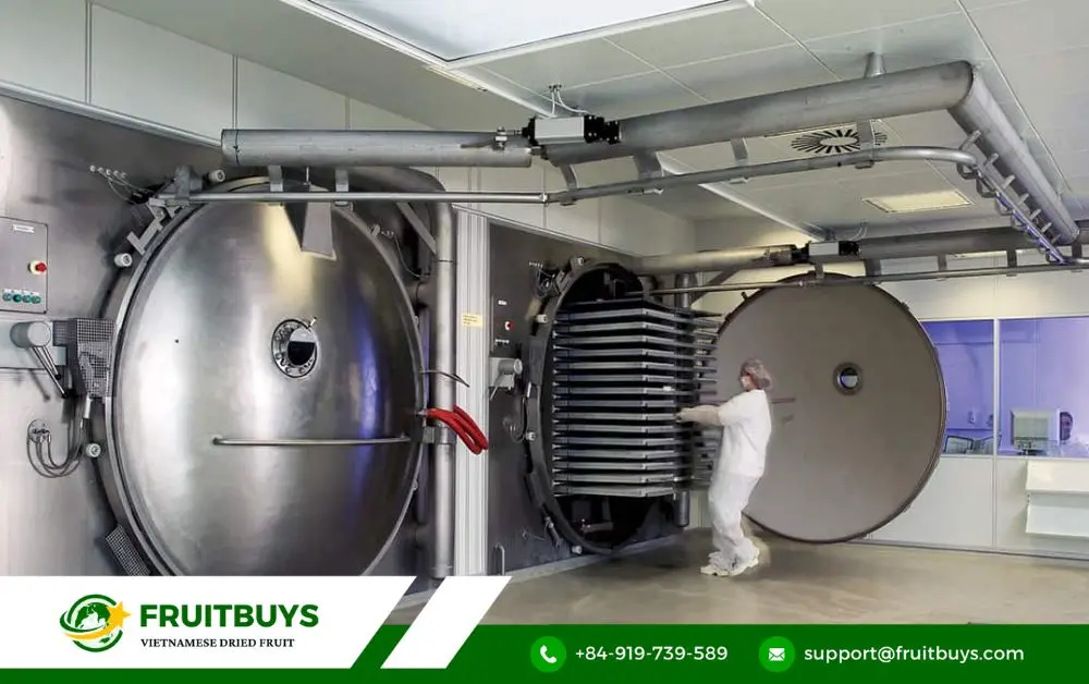 FruitBuys Vietnam Freeze Drying Process