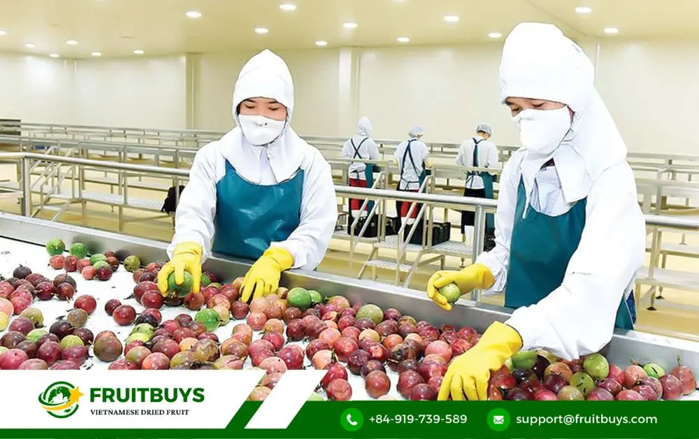 FruitBuys Vietnam FruitBuys_ Your Gateway To Passion Fruit Perfection (Bulk & Beyond!)