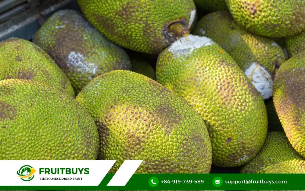 FruitBuys Vietnam Jackfruit