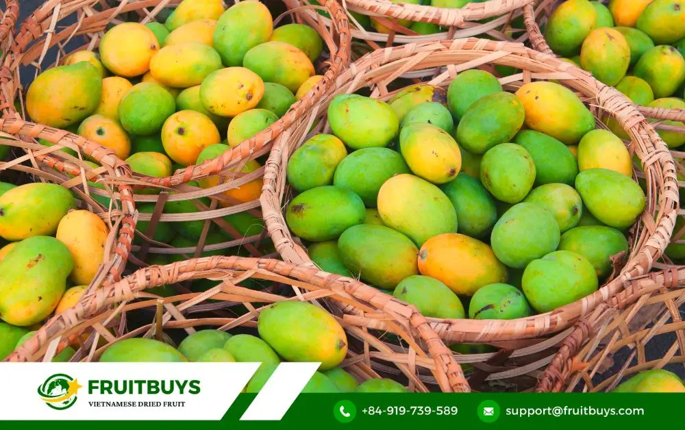 FruitBuys Vietnam Mango